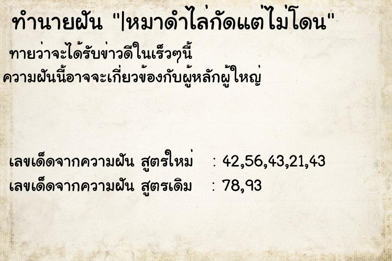 ทำนายฝัน|หมาดำไล่กัดแต่ไม่โดน ทำนายฝันทำนายฝัน|หมาดำไล่กัดแต่ไม่โดน